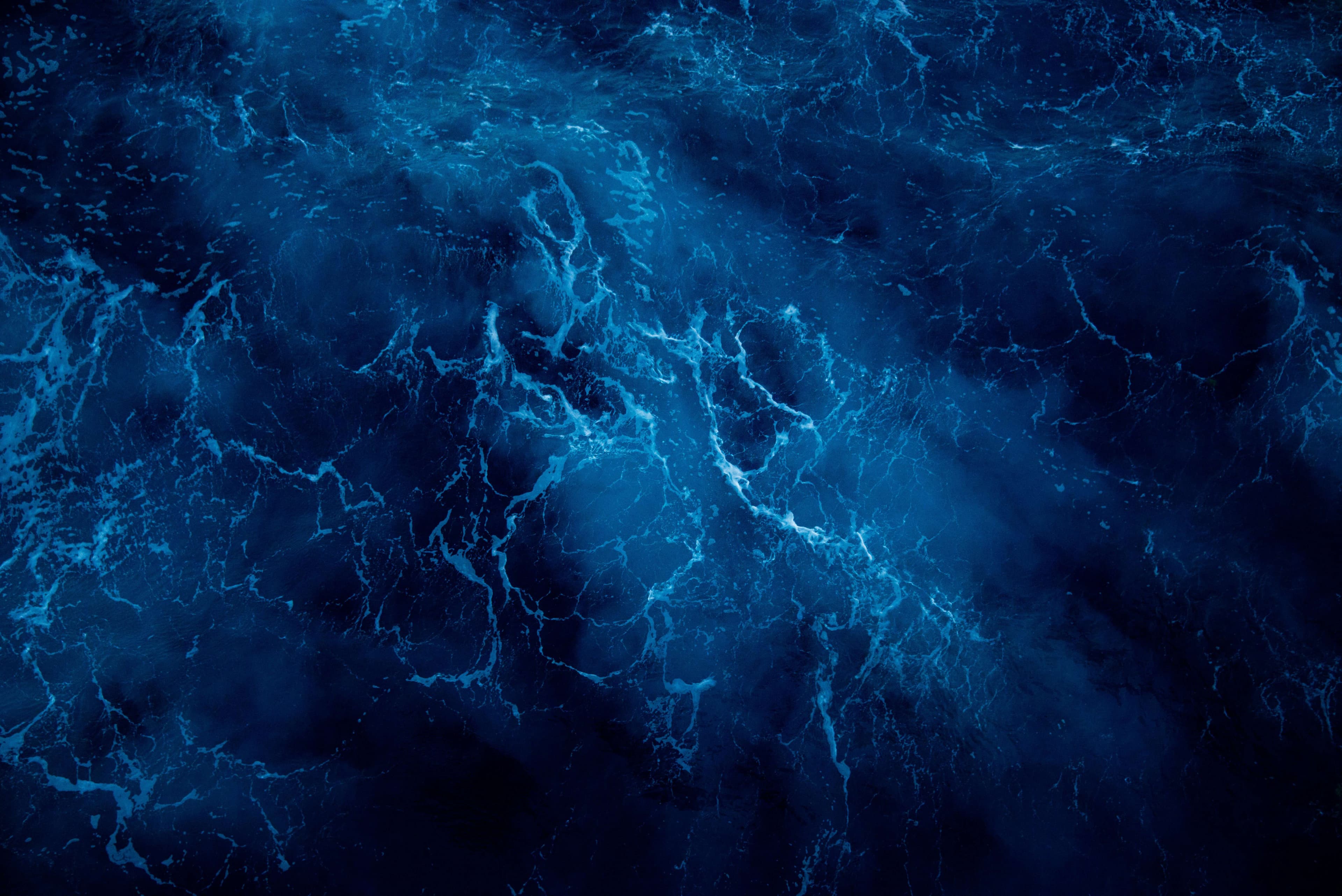 Banner image